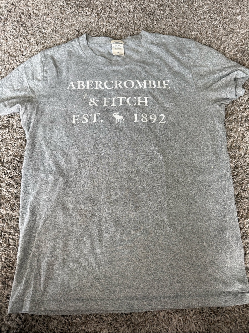 Abercrombie & Fitch Heather Gray Logo Short Sleeve Tee